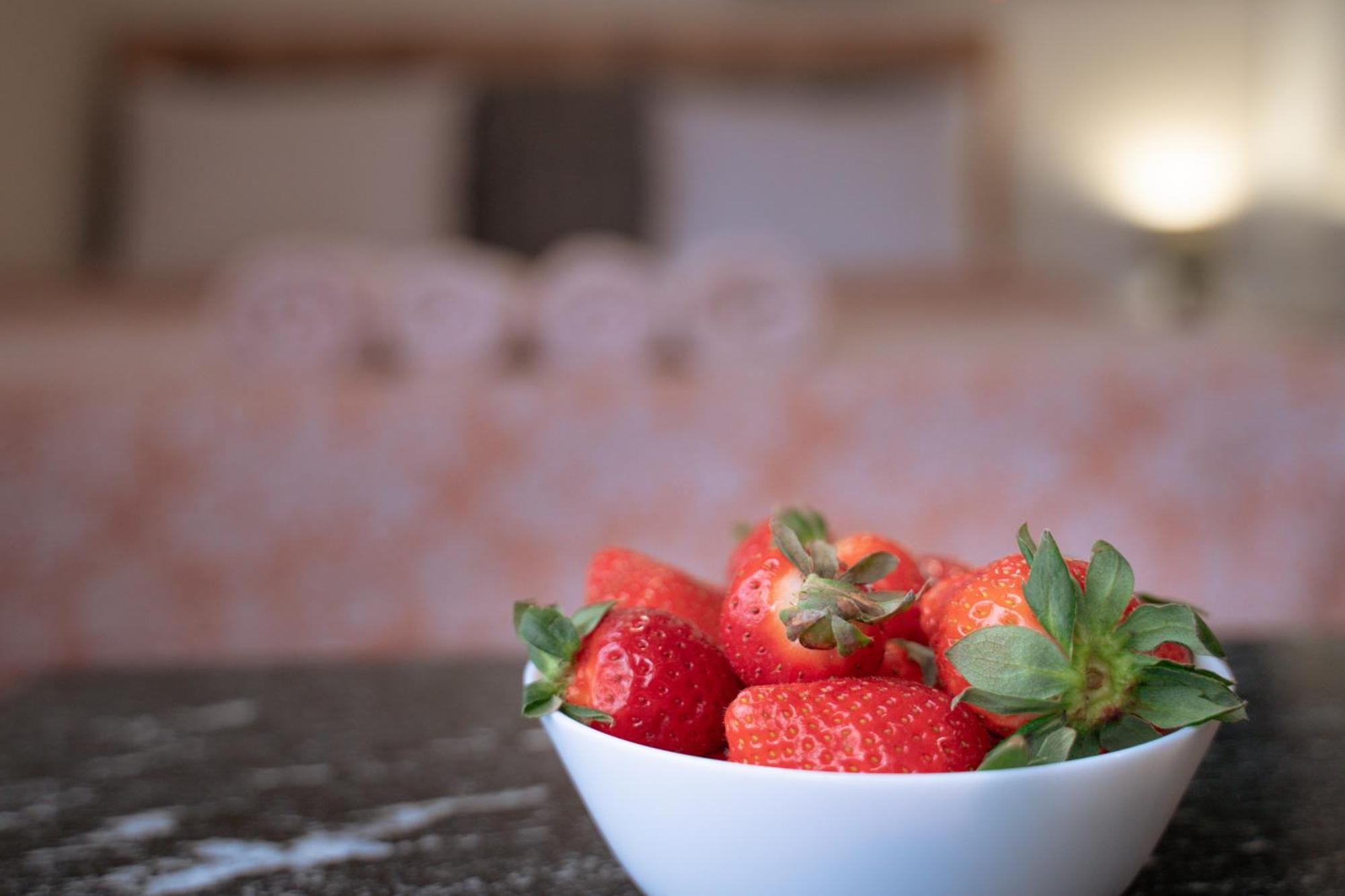 Apartahotel Wow For Rent - Bul Montevideo 25a - B