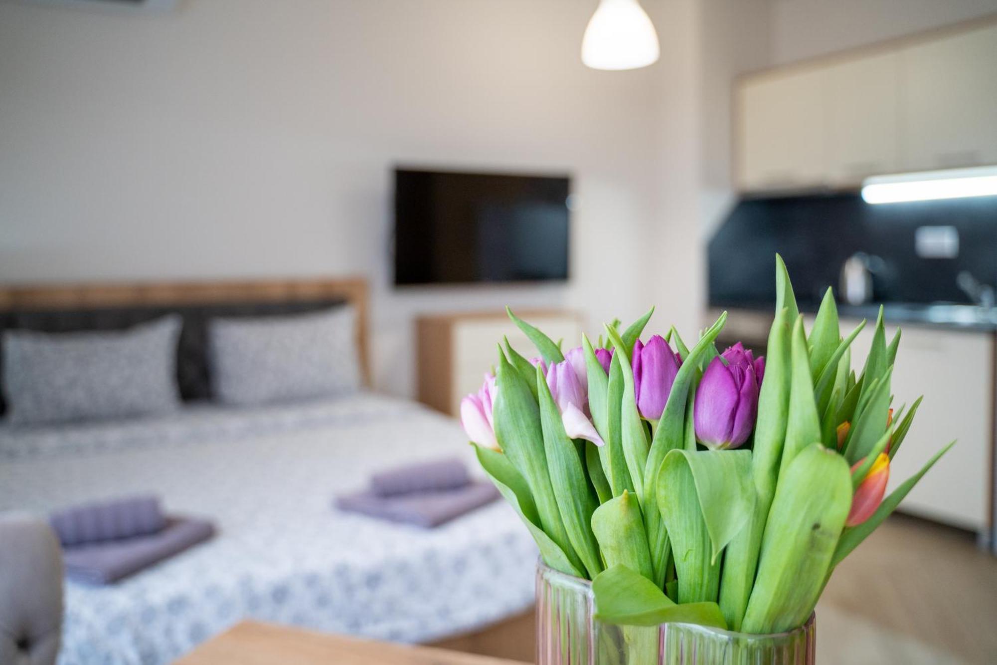 Wow For Rent - Bul Montevideo 25a - B Aparthotel